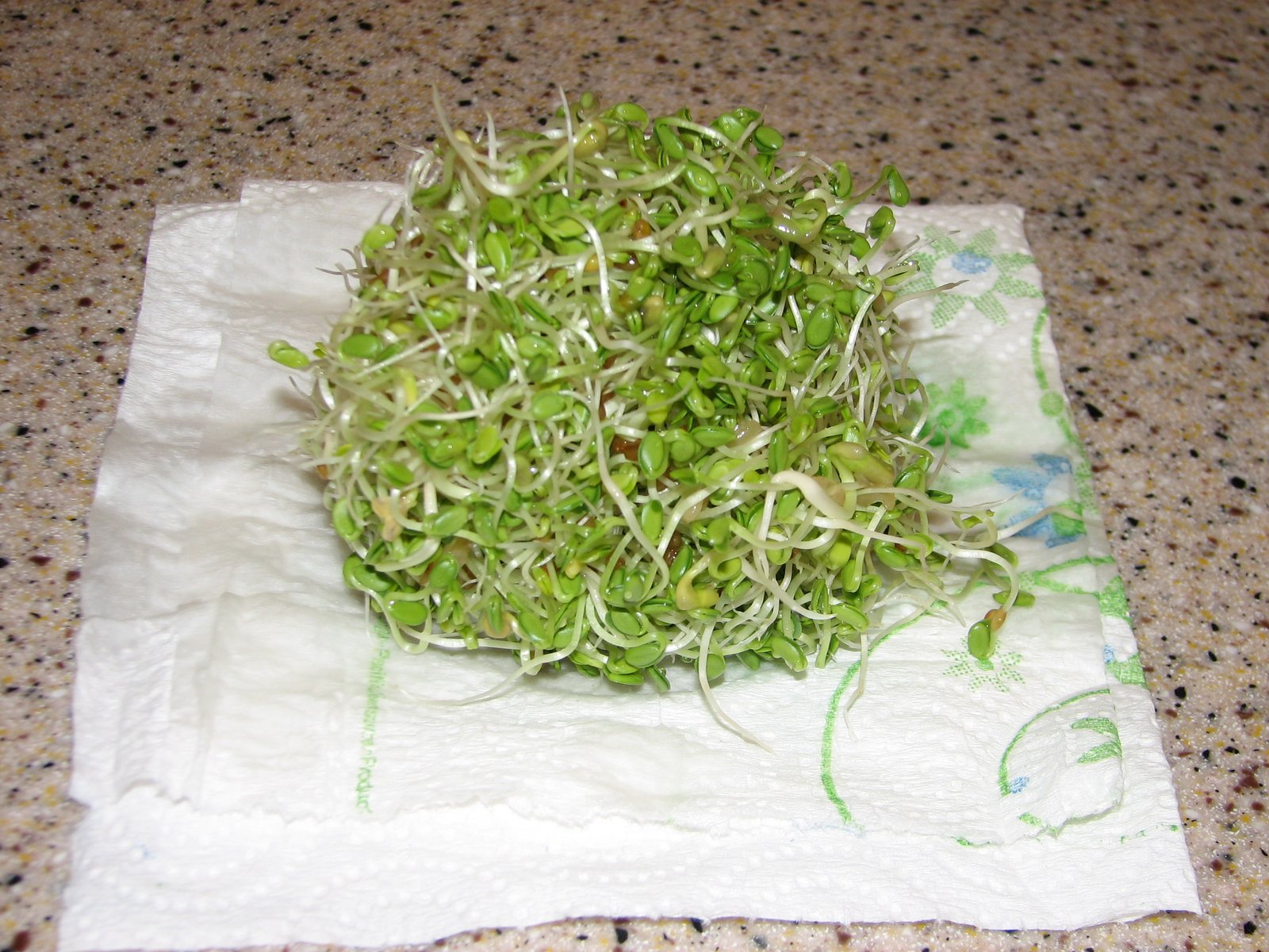 Sprouts Draining