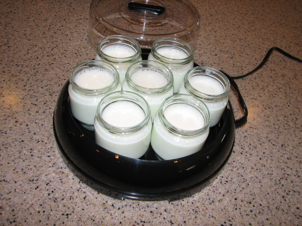 Add yogurt culture to cooled milk and load yogurt maker