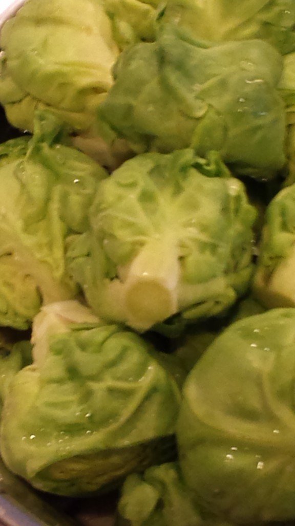 Brussel Sprouts from the Garden