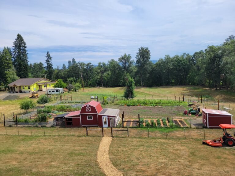From Hamsters to Homestead: Why Skills Matter